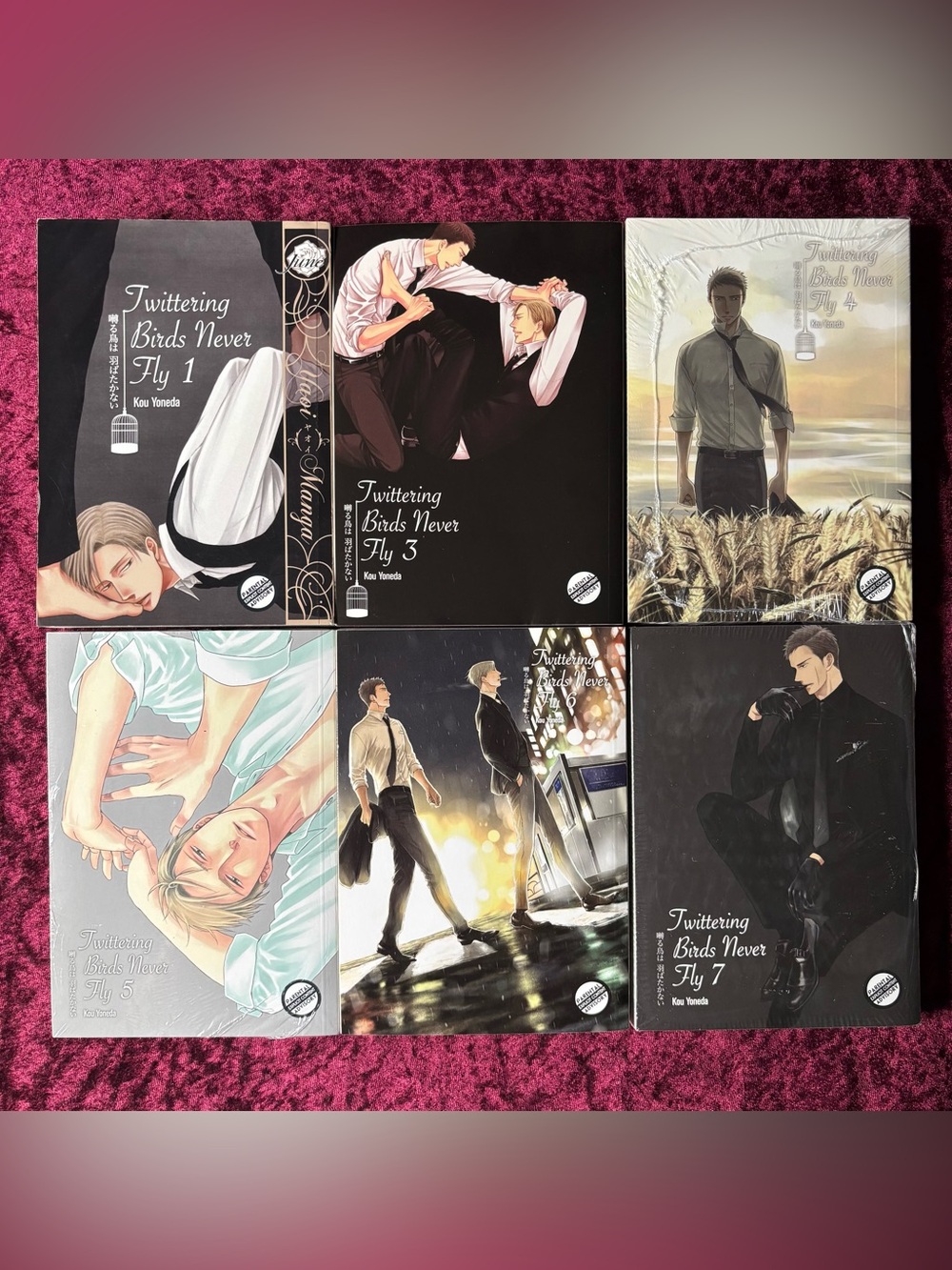 Twittering Birds Never Fly Manga Set